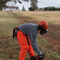 Tree Service Equipment: What Training is Necessary for Safe Use?