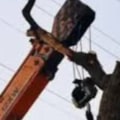 The Essential Guide to Purchasing Tree Service Equipment