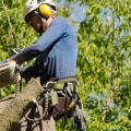 Finding a Qualified Technician to Repair Your Tree Service Equipment