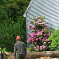 Tree Service Equipment: What You Need to Know