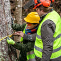 Safety Precautions for Tree Service Equipment: A Guide for Tree Workers