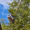 The Most Common Types of Tree Service Equipment