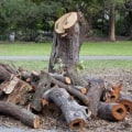 Safely Disposing of Used or Damaged Tree Service Equipment
