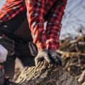 Tree Services: All You Need to Know About Hydraulic Tools