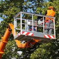 Maintaining and Servicing Tree Service Equipment: A Comprehensive Guide