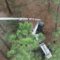 Tree Service Equipment in Hazardous Conditions: What You Need to Know