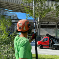 The Advantages Of Hiring A Tree Service Company In Orange County With Complete Tree Service Equipment
