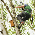 Safety First: The Importance Of Proper Tree Service Equipment For Professional Tree Care Service In Western NC
