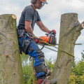Why Hiring Professionals With Proper Tree Service Equipment Is Essential For Tree Trimming In Durham