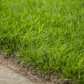 Achieving a Lush, Green Lawn: Aeration Services And Advanced Tree Service Equipment In Northern Virginia