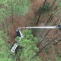 How to Find a Reliable Supplier for Tree Service Equipment