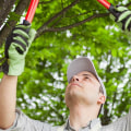 Tree Service Equipment: A Comprehensive Guide to Safely and Efficiently Prune and Cut Trees