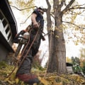 Essential Equipment for a Profitable Tree Service Business