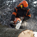 Tree Care and Removal: Hazards and Requirements for Employers