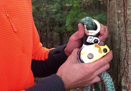 Tree Removal Equipment: What You Need for a Safe and Professional Job