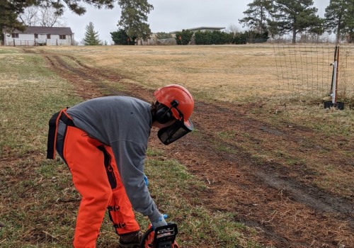 Tree Service Equipment: What Training is Necessary for Safe Use?