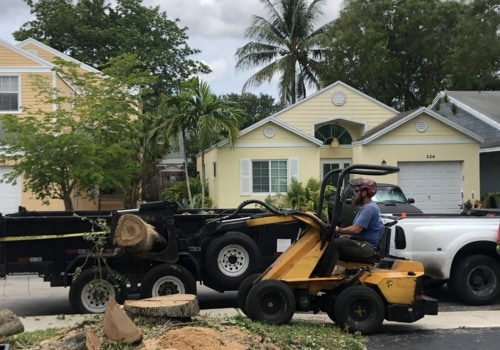 The Ultimate Tree Service Equipment For Maintaining Your Pembroke Pines Trees