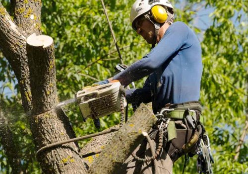 Finding a Qualified Technician to Repair Your Tree Service Equipment