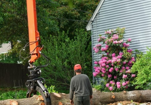 Tree Service Equipment: What You Need to Know