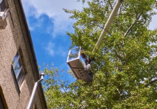 The Most Common Types of Tree Service Equipment