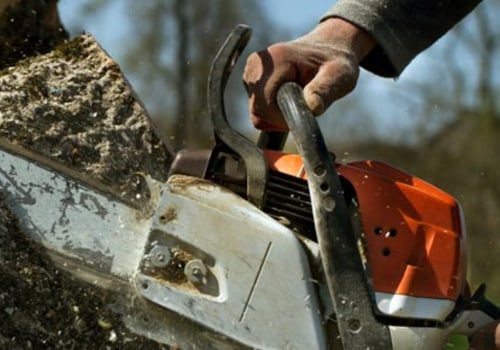 Finding a Qualified Technician to Start Your Tree Service Business