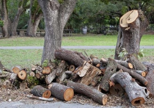 Safely Disposing of Used or Damaged Tree Service Equipment