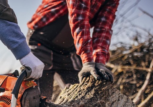 Tree Services: All You Need to Know About Hydraulic Tools