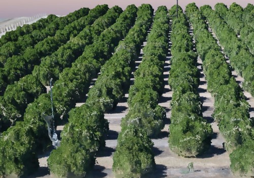 Planting Trees In Lubbock, TX: Why You Shouldn't Overlook The Role Of Tree Service Equipment