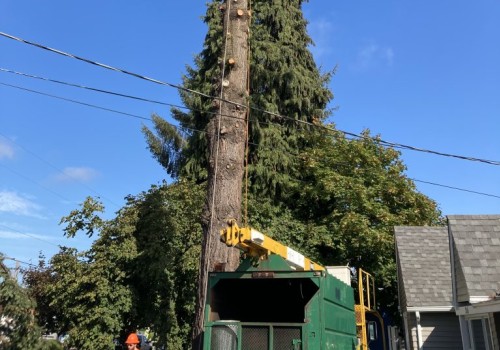 Safety And Efficiency: Exploring Equipment For Emergency Tree Services In Oregon City