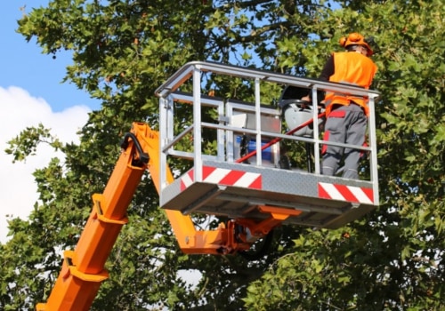 Maintaining and Servicing Tree Service Equipment: A Comprehensive Guide