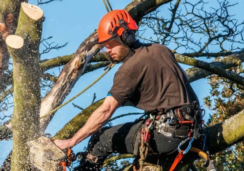 Tree Service Equipment: What Safety Features Should You Look For?