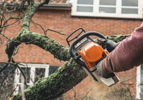 What Types of Insurance Coverage Should I Have for My Tree Service Equipment?