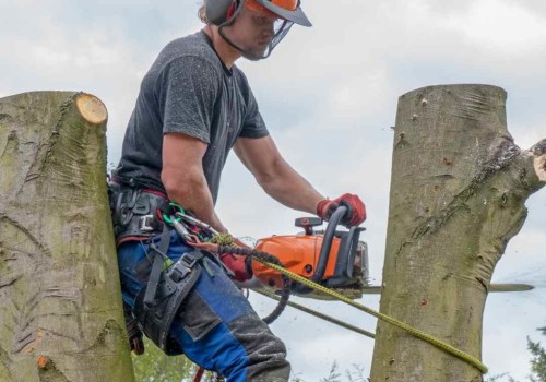 Why Hiring Professionals With Proper Tree Service Equipment Is Essential For Tree Trimming In Durham