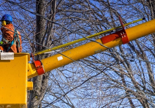 Why Hiring Professionals With Proper Tree Service Equipment Is Essential For Tree Trimming In Durham