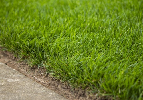 Achieving a Lush, Green Lawn: Aeration Services And Advanced Tree Service Equipment In Northern Virginia