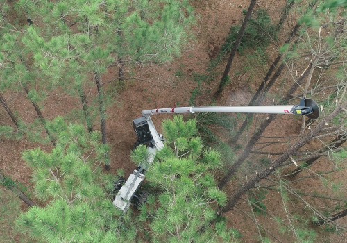 How to Find a Reliable Supplier for Tree Service Equipment