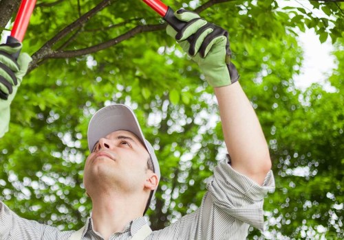 Tree Service Equipment: A Comprehensive Guide to Safely and Efficiently Prune and Cut Trees