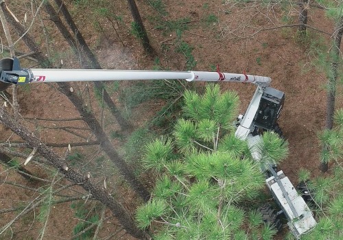 The Power Of Innovation: How Tree Service Equipment Is Revolutionizing Canberra's Tree Services