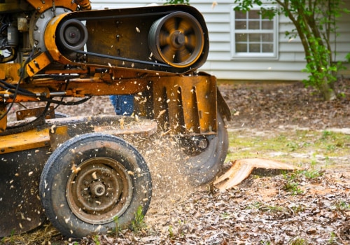How Much Does Tree Service Equipment Cost? A Comprehensive Guide