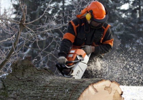 Tree Care and Removal: Hazards and Requirements for Employers
