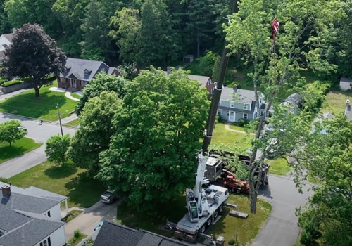Tree Service Maintenance For Urban Landscapes: Recommended Tree Service Equipment In Groveland, MA